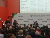 Золотая осень-2019